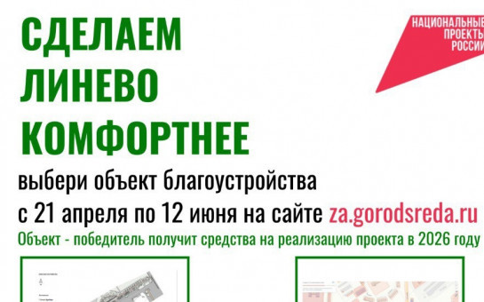 Благоустроят или нет? Бульвар Ветеранов войны и тротуар до поликлиники р.п.Линево участвуют во Всероссийском голосовании.
